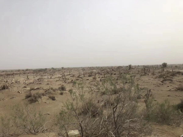 如何避免刑事立案？閔行區刑事律師支招，讓你遠離法律糾紛！