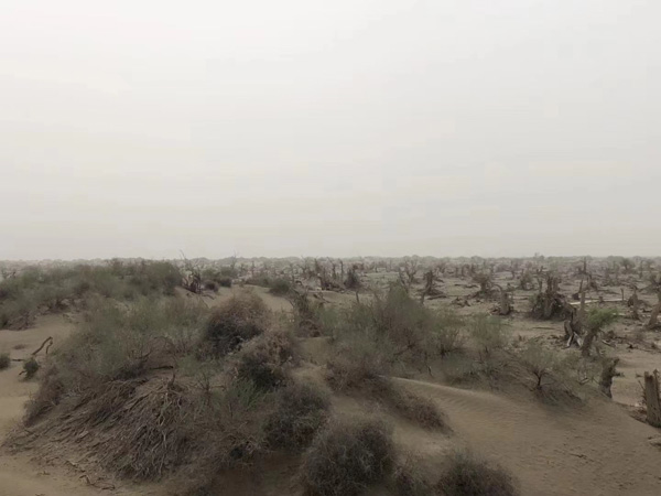 什么表現才算犯罪中止？徐匯區刑事律師為大家解析犯罪中止的具體表現