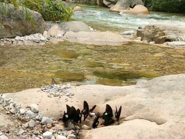 偵查人員以親屬的安危威脅被告人的證據是否有效？普陀區刑事律師告訴您