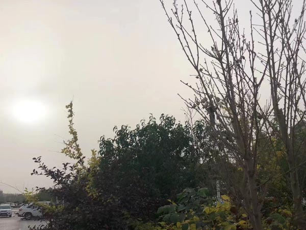 上海刑事律師網來講講承運過程中承運人將承運貨物暗中調包該如何定性