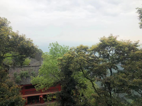 上海打刑事案件的律師來講講用信息網絡實施誹謗罪的司法認定