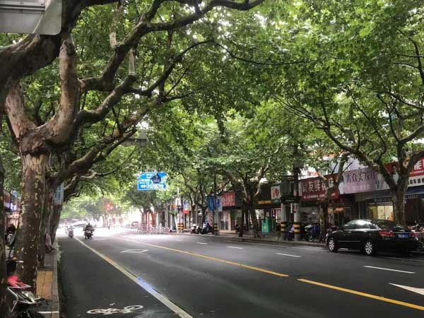 有問有答:上海請刑事辯護律師帶您了解中止犯罪中的損害該怎樣認定