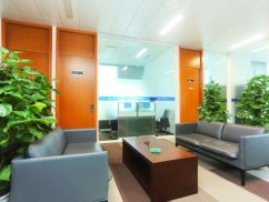 <b>上海刑事律師視角下的公安部經濟犯罪偵查要求</b>