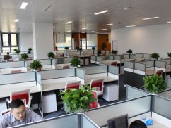 <b>上海金融詐騙罪律師視角下的金融詐騙經濟犯罪種類剖析</b>